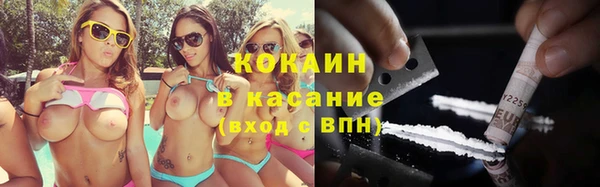 твердый Михайлов