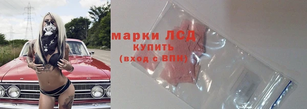 твердый Михайлов