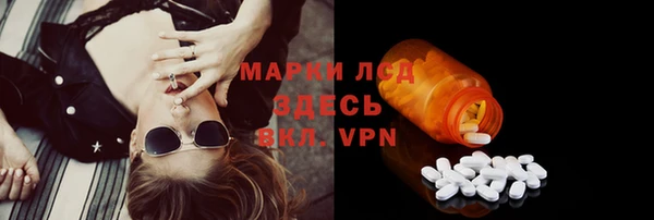 твердый Михайлов