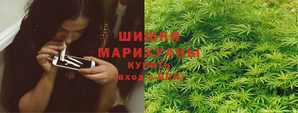 твердый Михайлов