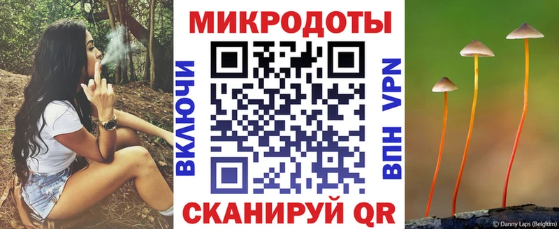 Псилоцибиновые грибы Cubensis  Усть-Кут 