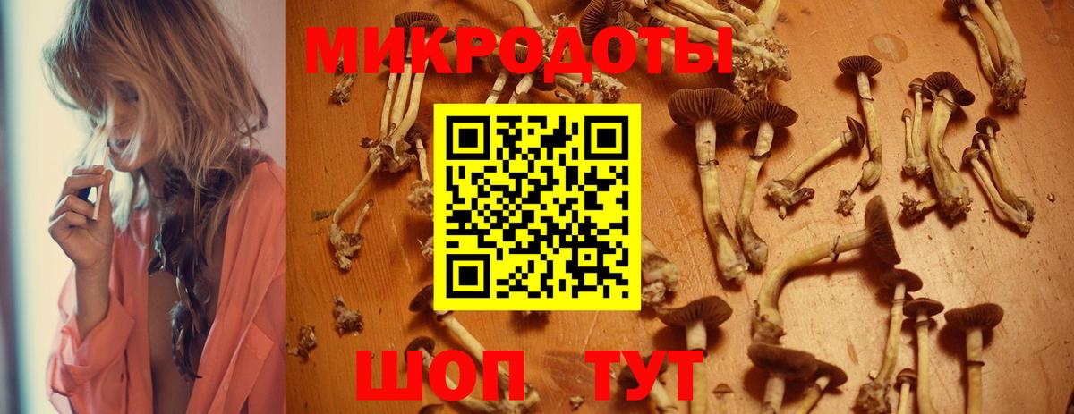 Псилоцибиновые грибы Magic Shrooms  Вход с VPN  как найти закладки  Усть-Кут 