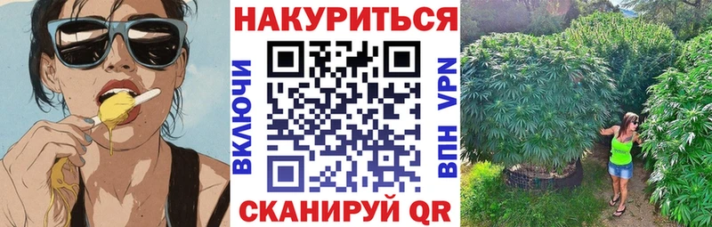 omg ссылки  дарнет шоп  Усть-Кут  Марихуана планчик 